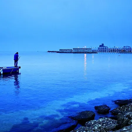 Mowita Civitavecchia