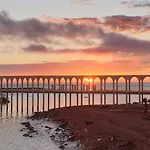 Mowita * Civitavecchia