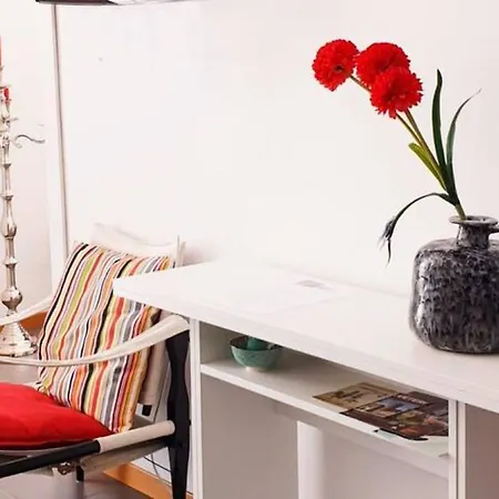 Mowita Civitavecchia