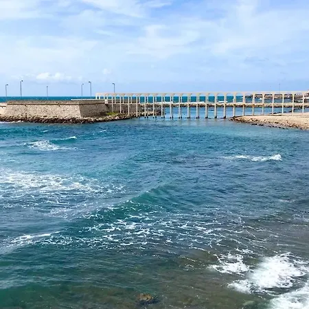 Mowita * Civitavecchia