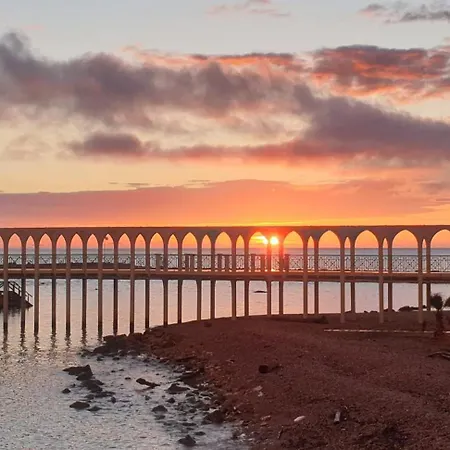 Mowita * Civitavecchia