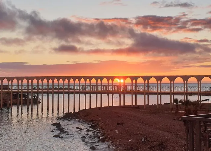 Mowita * Civitavecchia