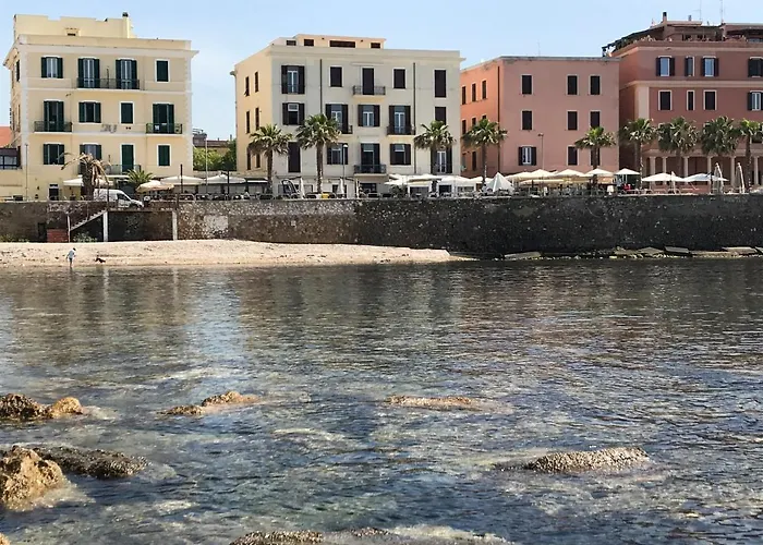 Mowita Civitavecchia